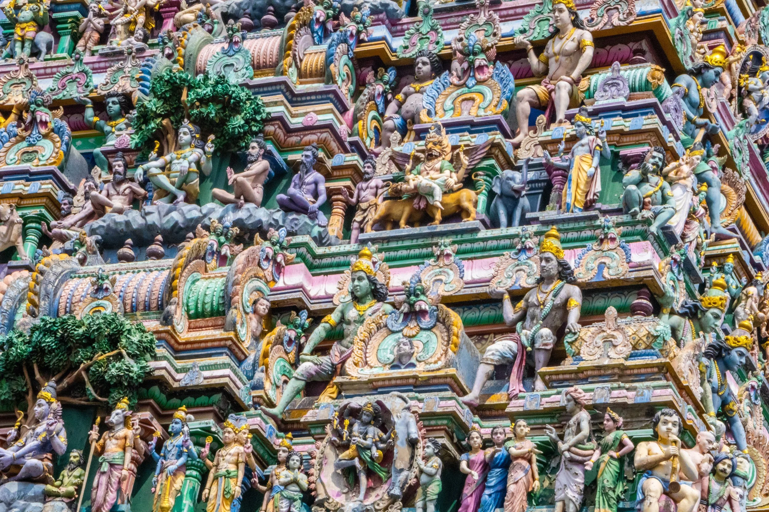 Peter Gets His First Taste of Tamil Culture in Chennai (India)