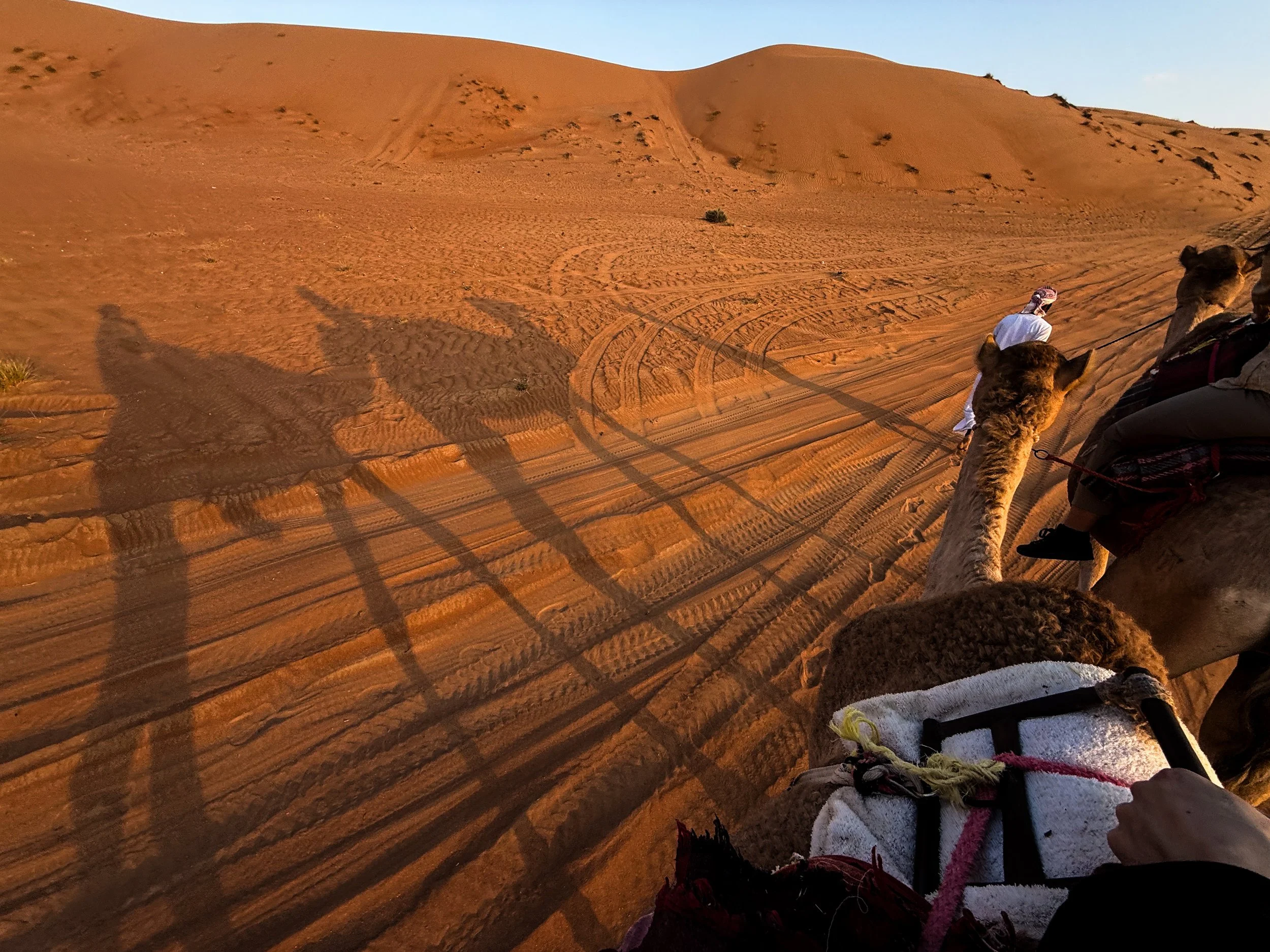 oman-wahiba-sands-arabian-desert-dunes-camel-safari-sunset-17.jpg