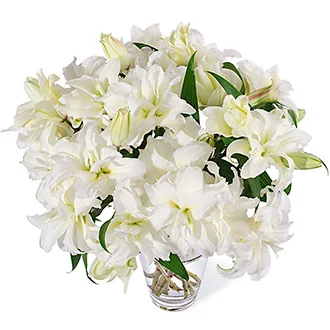 FB-RoseLilesWhite.jpg
