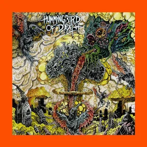 Hummingbird-Death.jpg