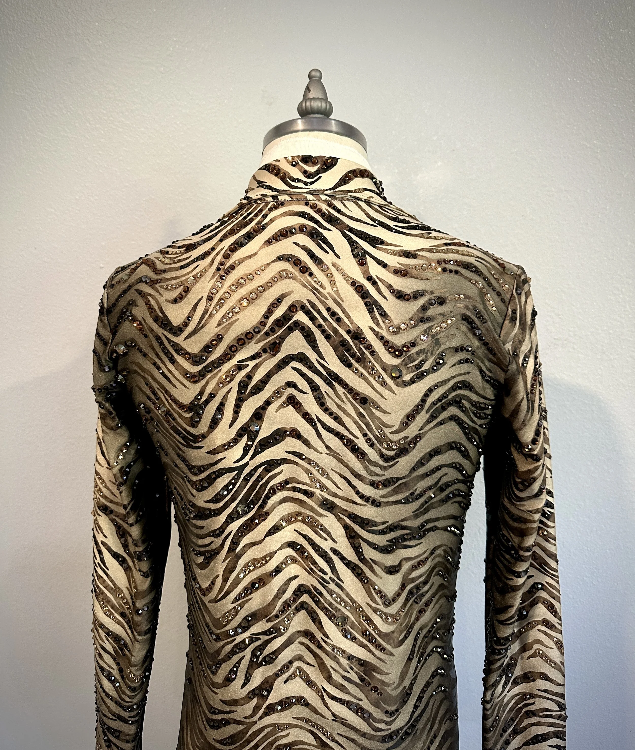 zebraback.jpg