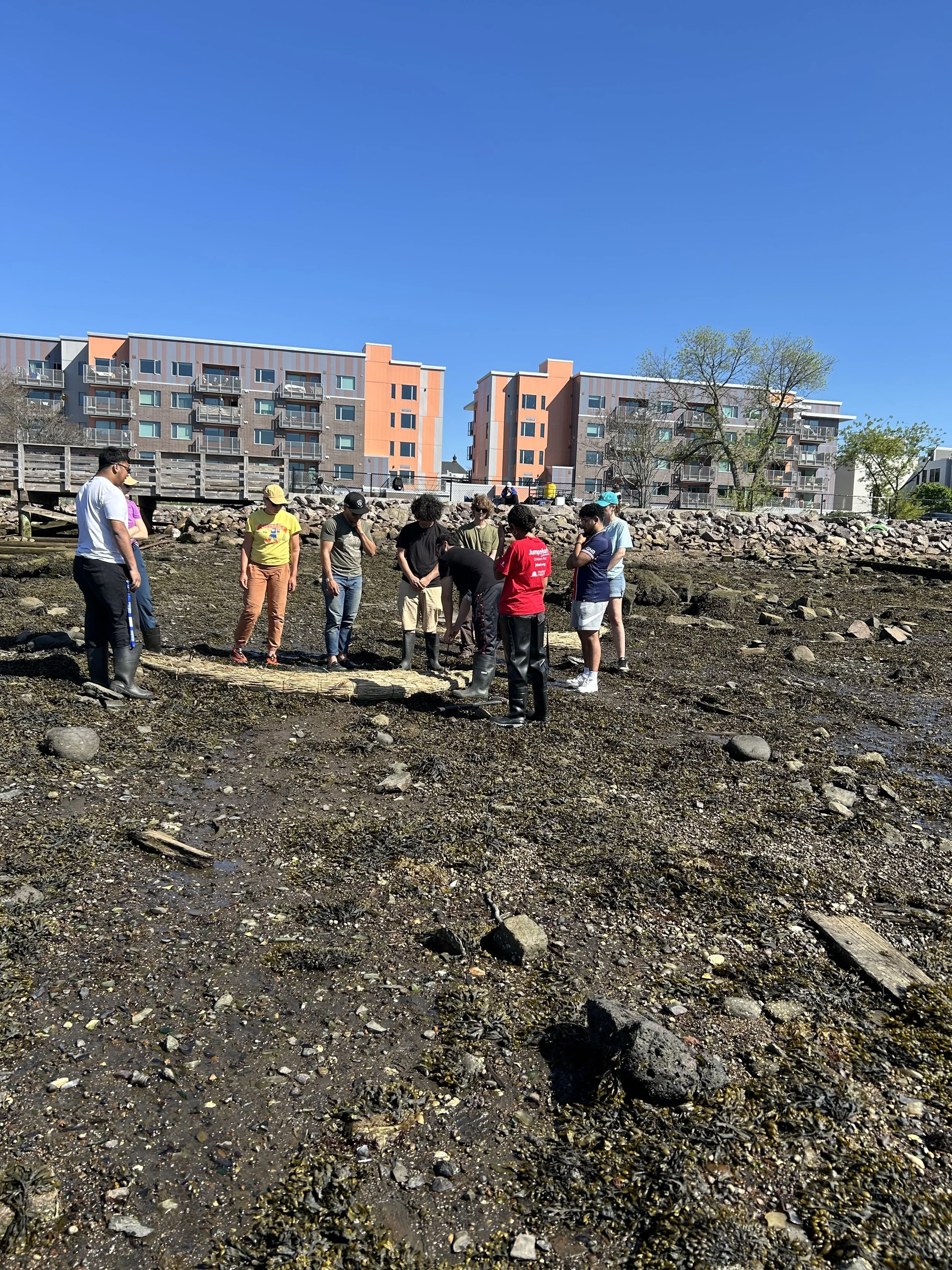 Check out this article on our NSF CIVIC project with Eastie Farm, featuring quotes from Kalaina!