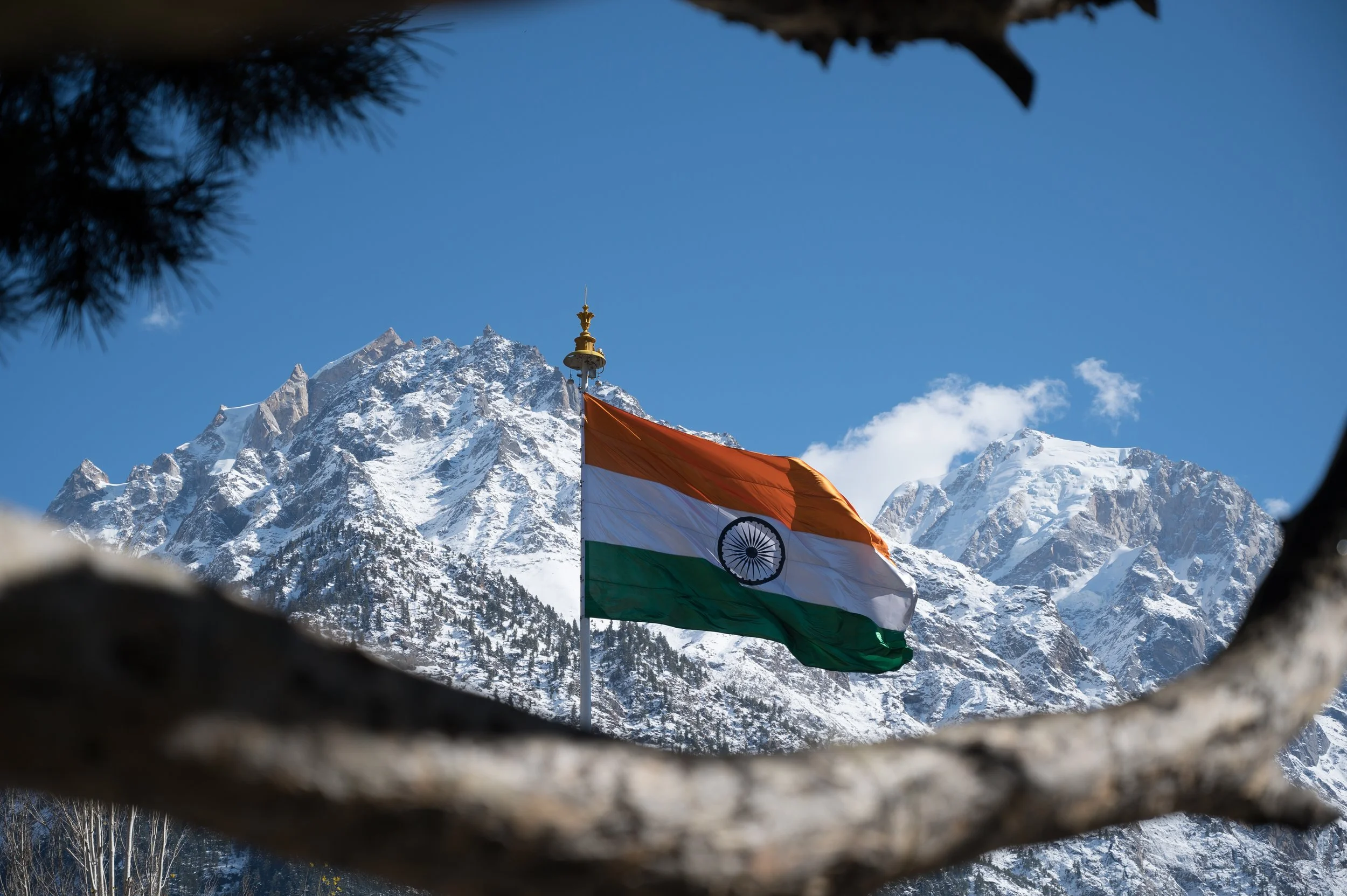 REAP India's Progress and Vision for 2024