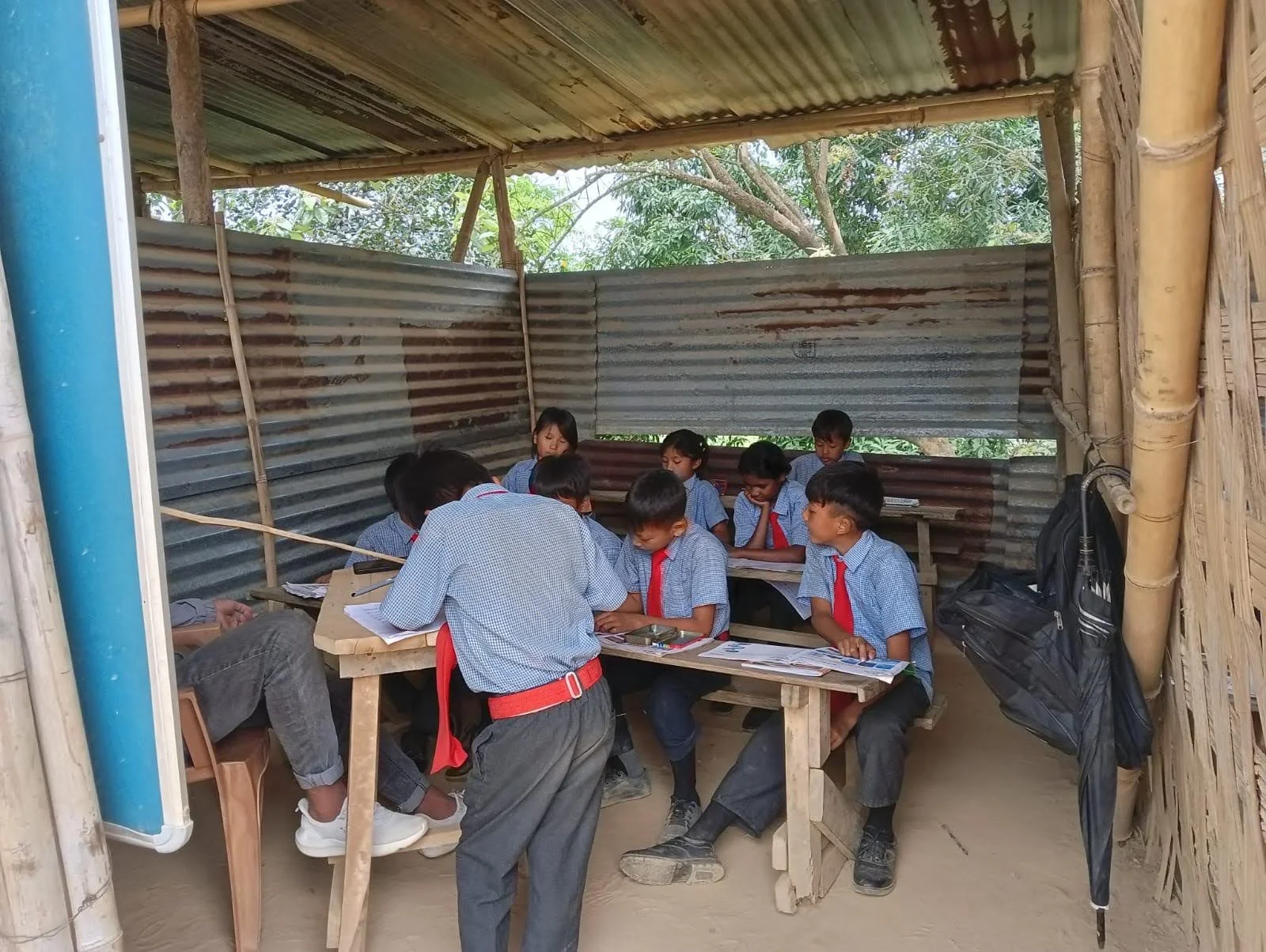 O Church Planting and Springbuds Updates