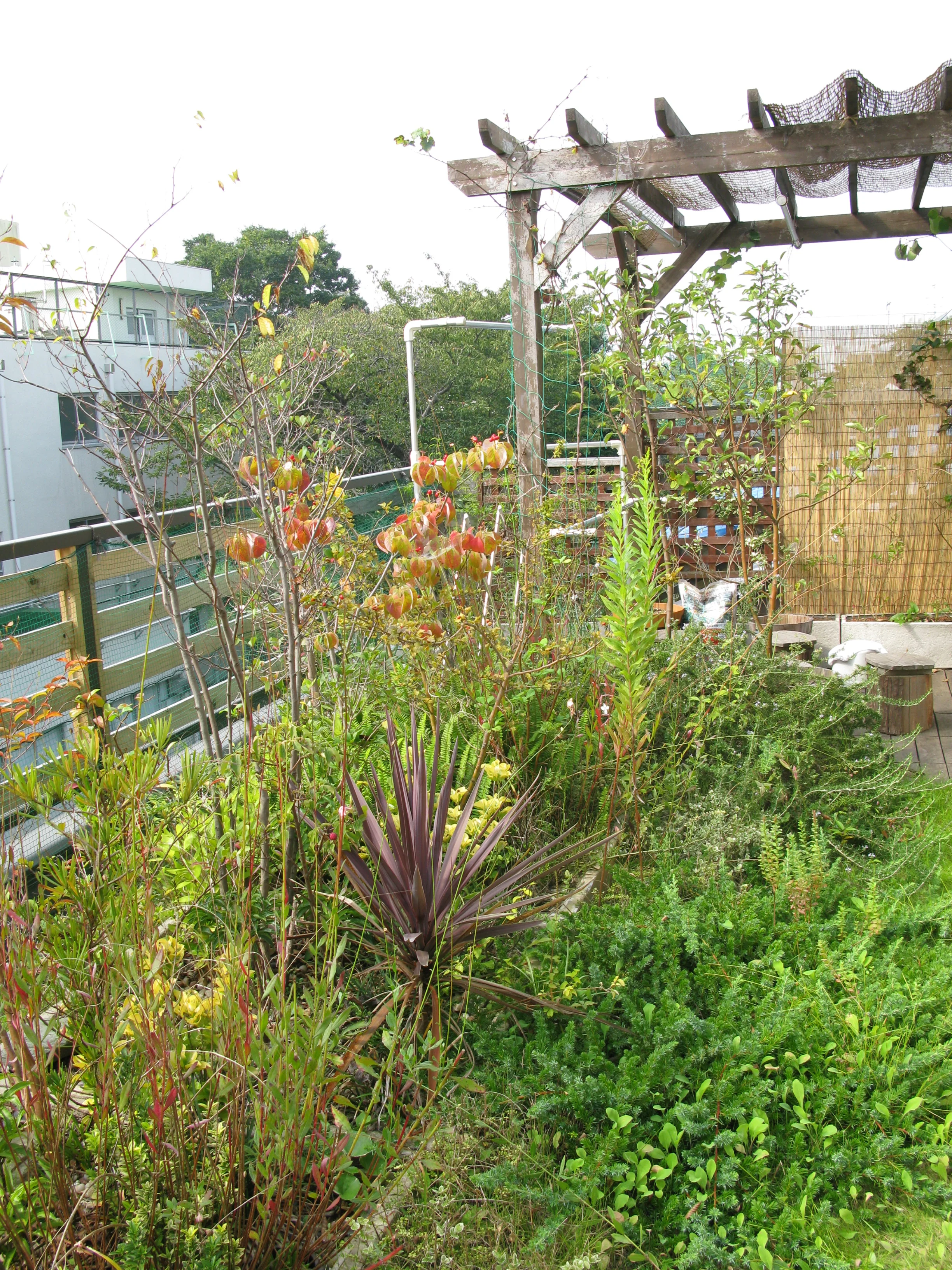 屋上の雨水プランター
