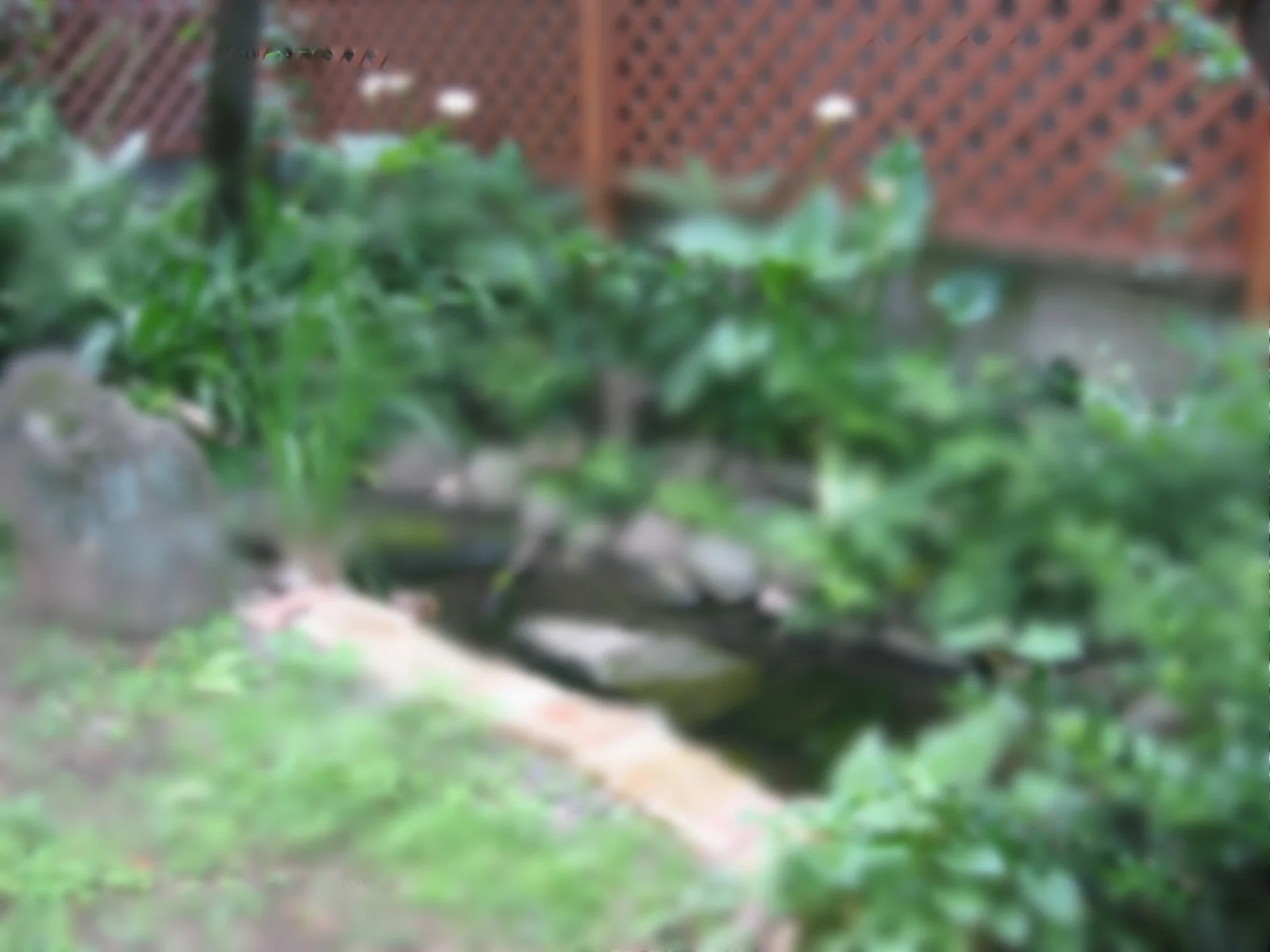 第１回 雨水活用施設維持管理技士講習 及び 試験実施のご案内