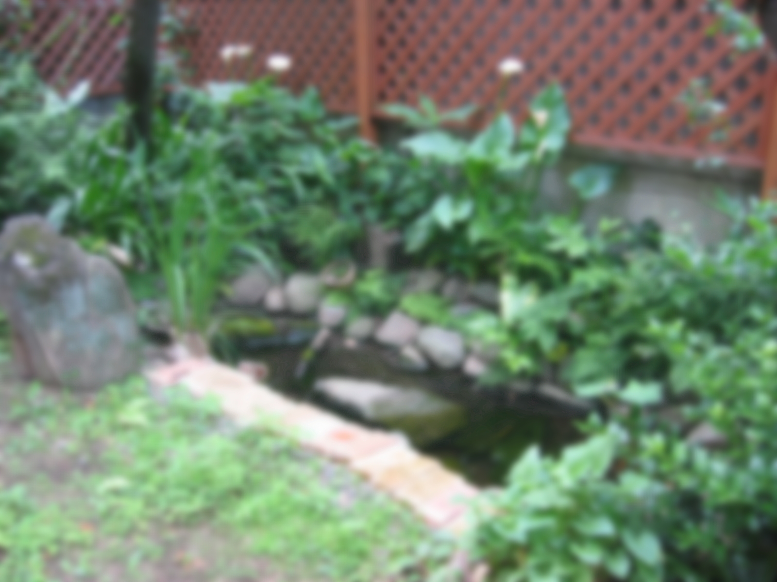 第２回 雨水活用施設維持管理技士講習及び試験実施のご案内