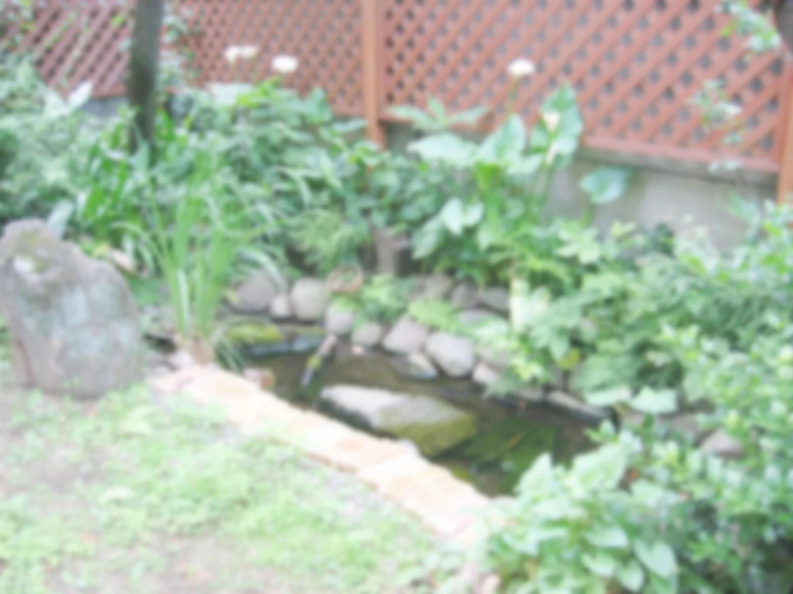 5/26（土）雨まちづくり連続セミナー第１回「人と自然をつなぐー竹中工務店の仕事ー」開催