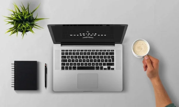 Laptop Man (Public domain)