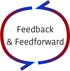 Feedback & Feedforward.png