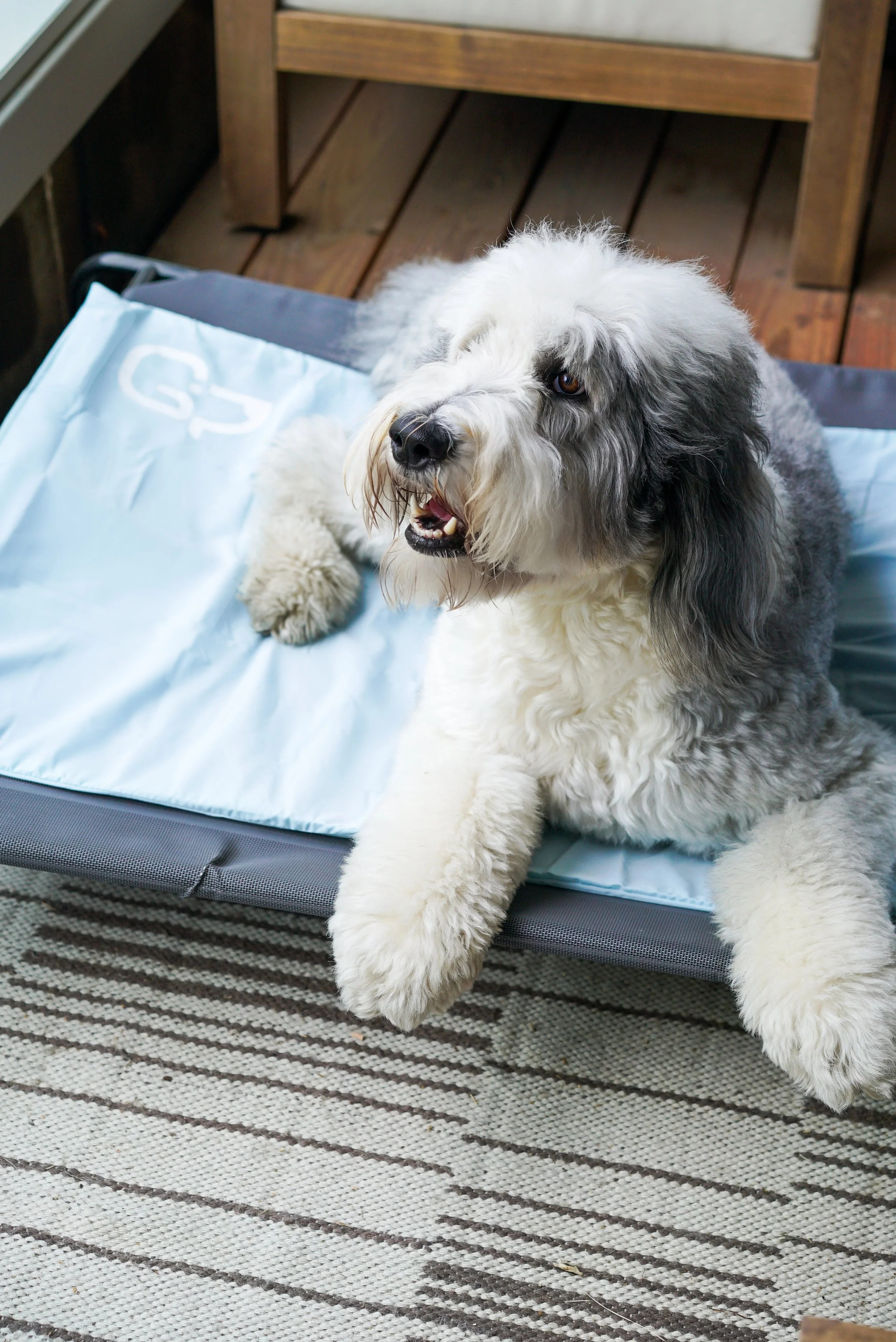 XL light blue cover big e-1.jpg