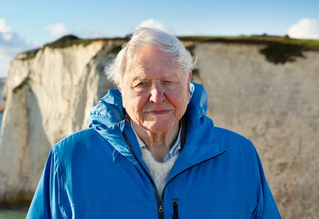 Review: Attenborough's Ocean in Concert