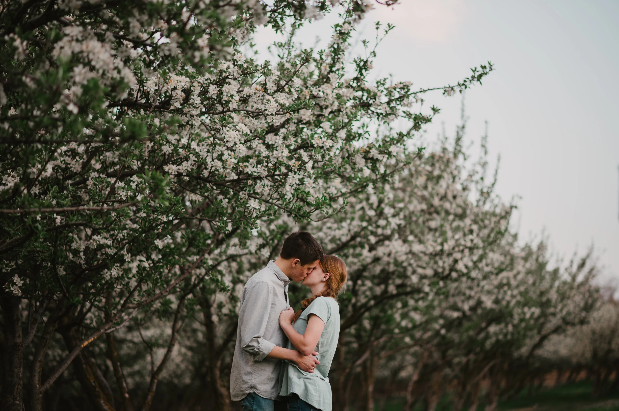 Elizabeth & Carson, Engagements at Provo Orchard