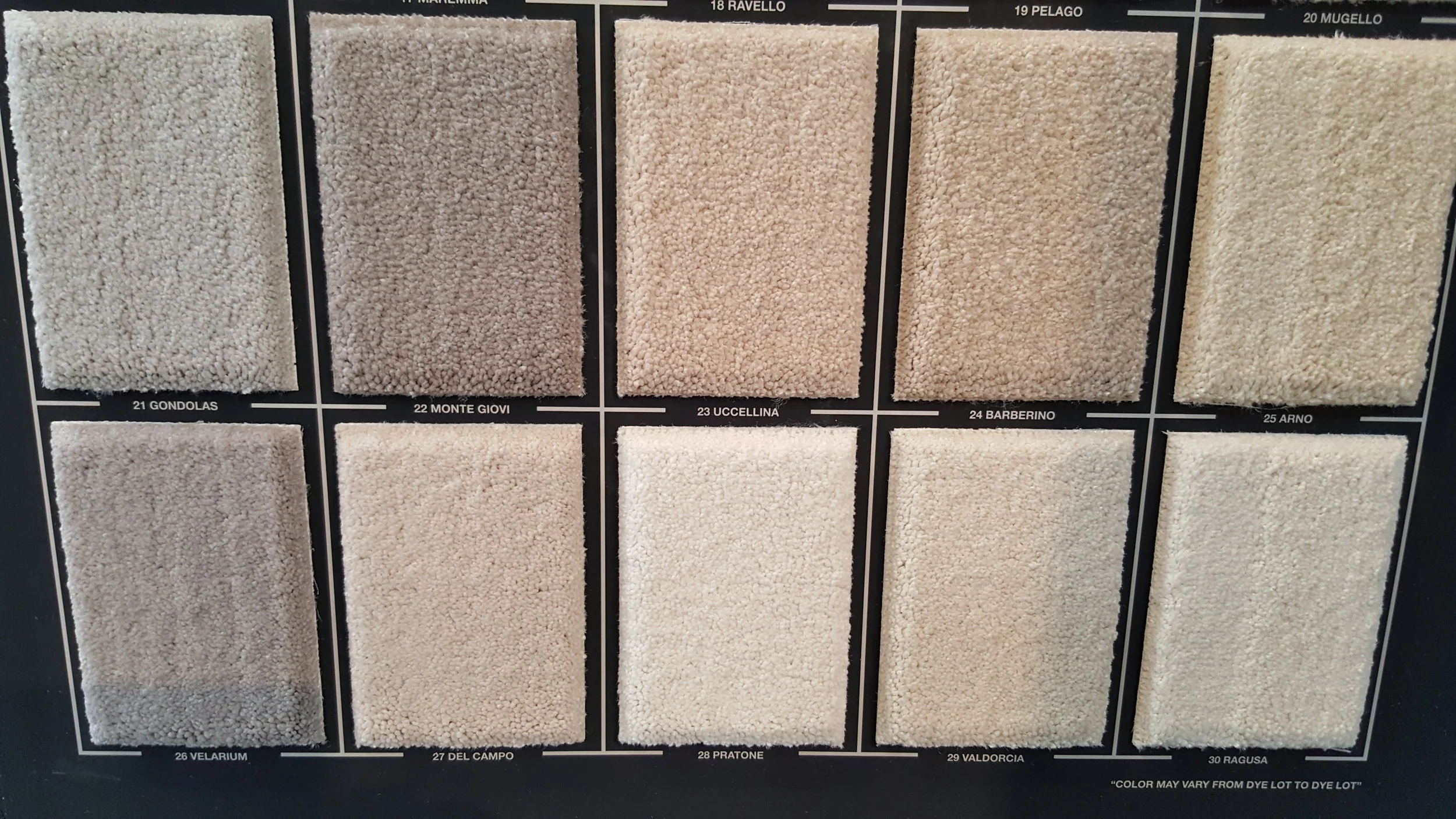 Saxony Saxony will provide any room with elegance. A very soft thick plush that will leave anyone in awe. This carpet is good for master bedrooms or a formal living room. Not recommended for high traffic area. This thick and dense carpet will show foot prints and vacuum marks.