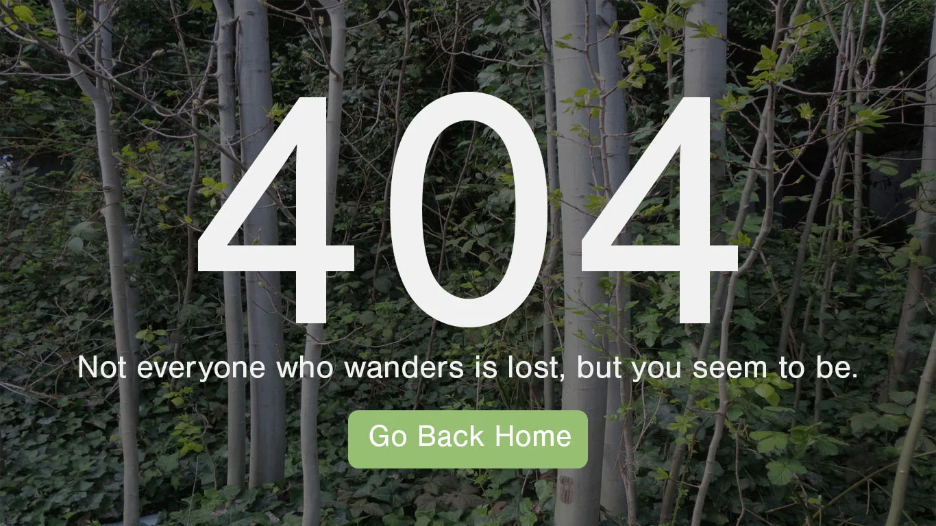 404 error page