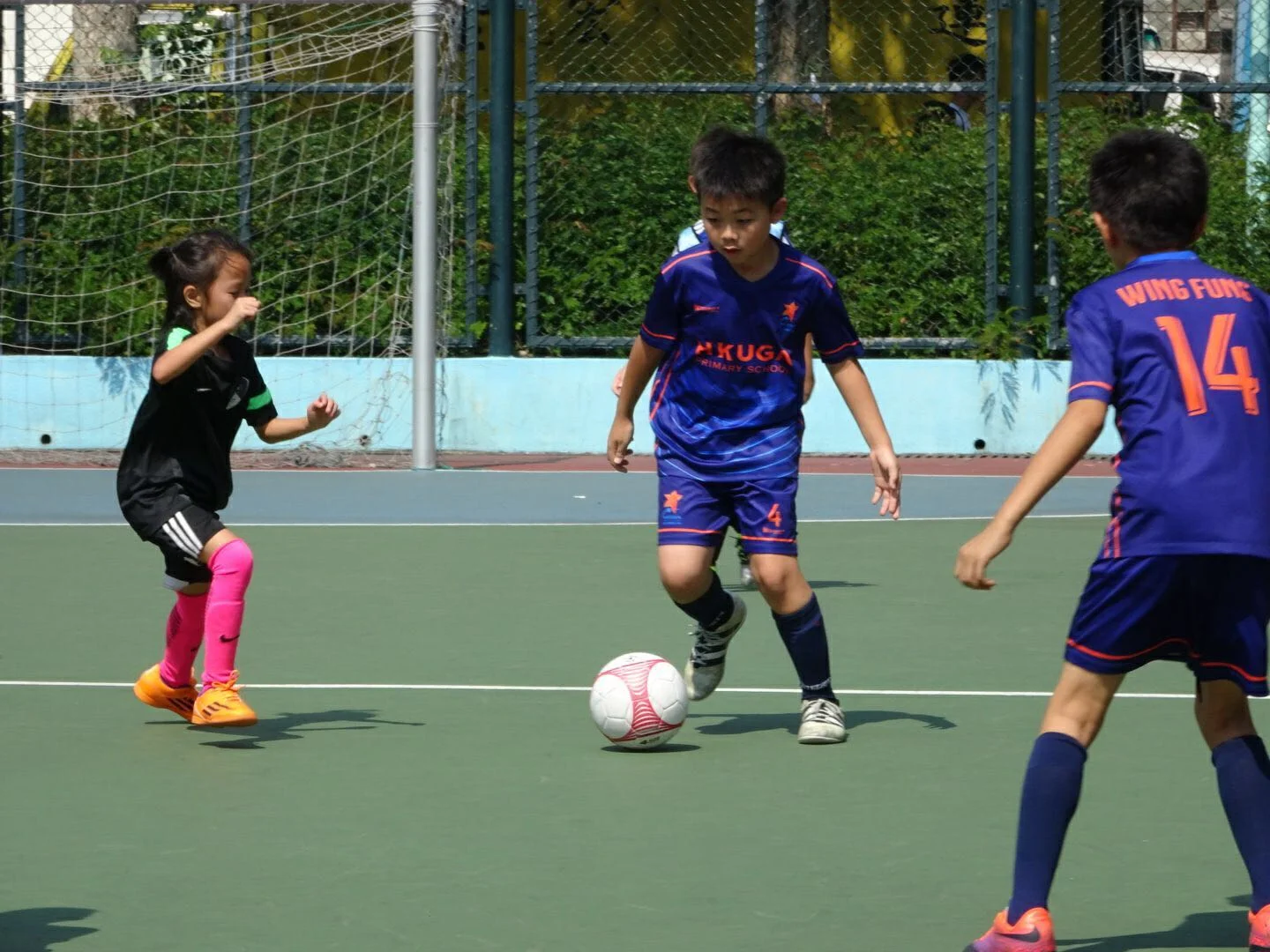 WhatsApp Image 2017-10-29 at 14.19.31.jpeg