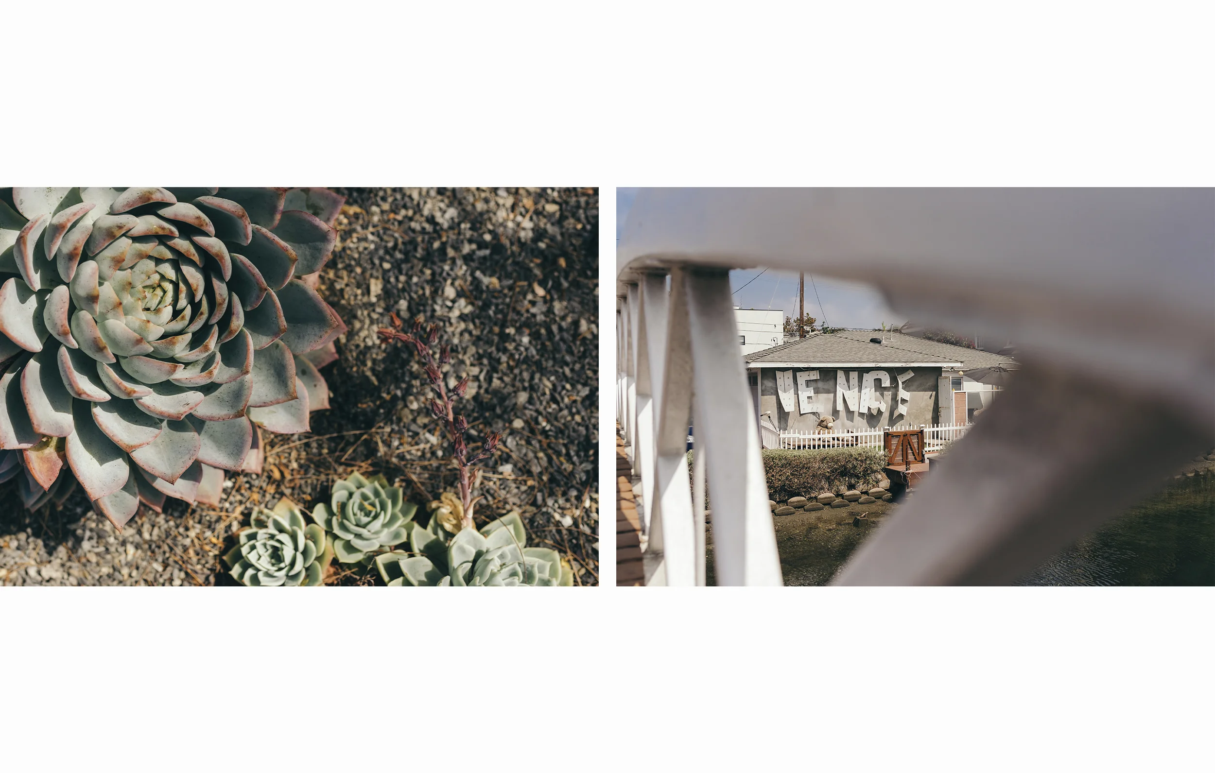 LosAngeles_shot-by-Karin-Karas11.jpg