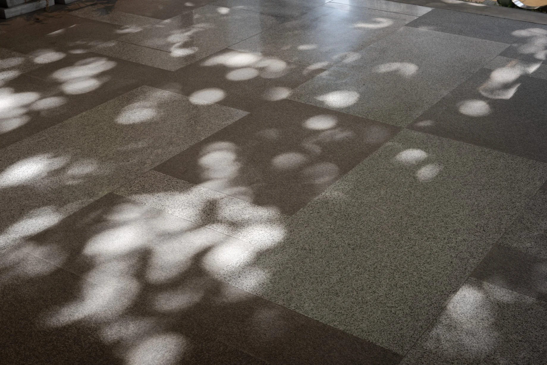 PHTAA_Vanit Place_19.JPG