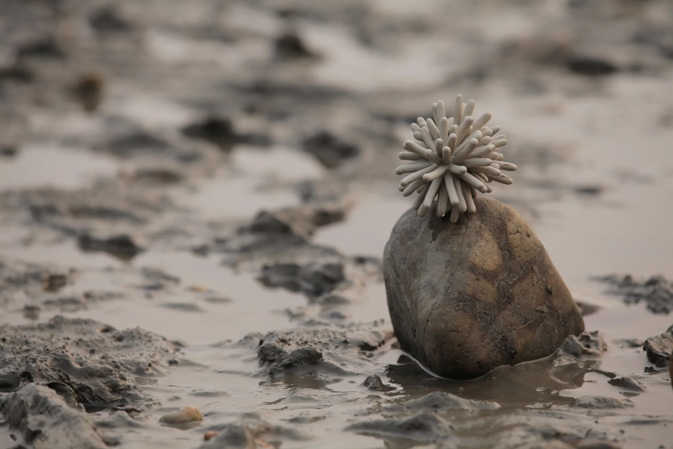  Ceramics/Installation/2012 