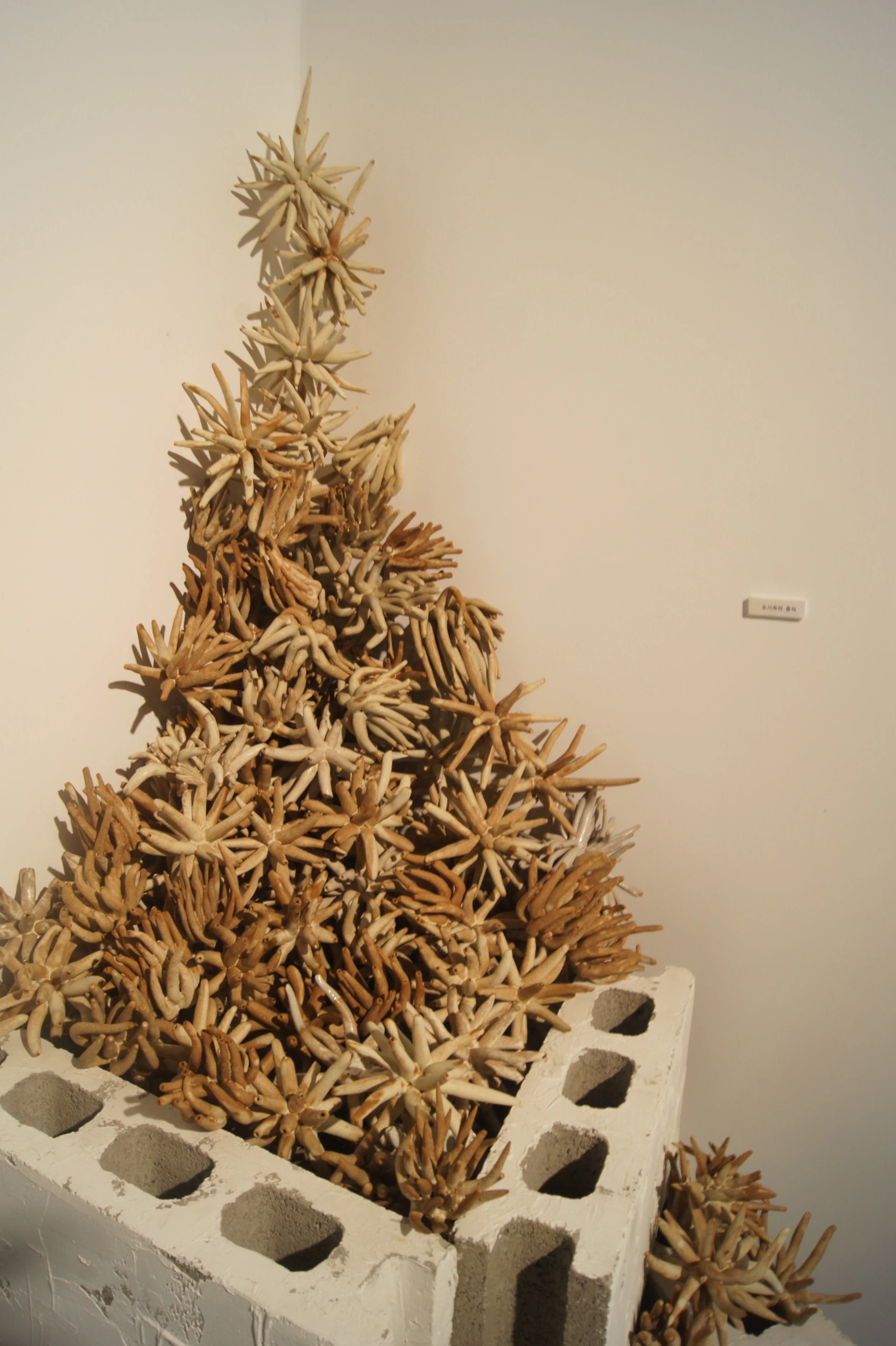  Caged Brick Project/Variable/2012 