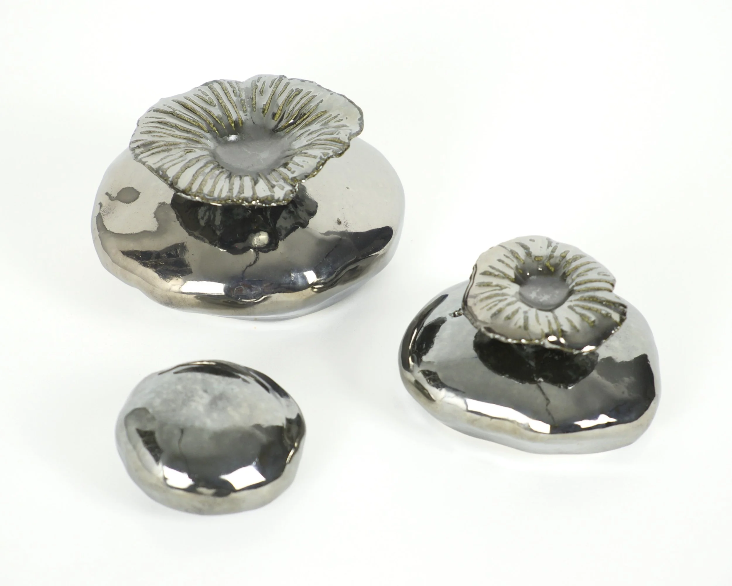 Kilo_Observation 1 copy.jpeg