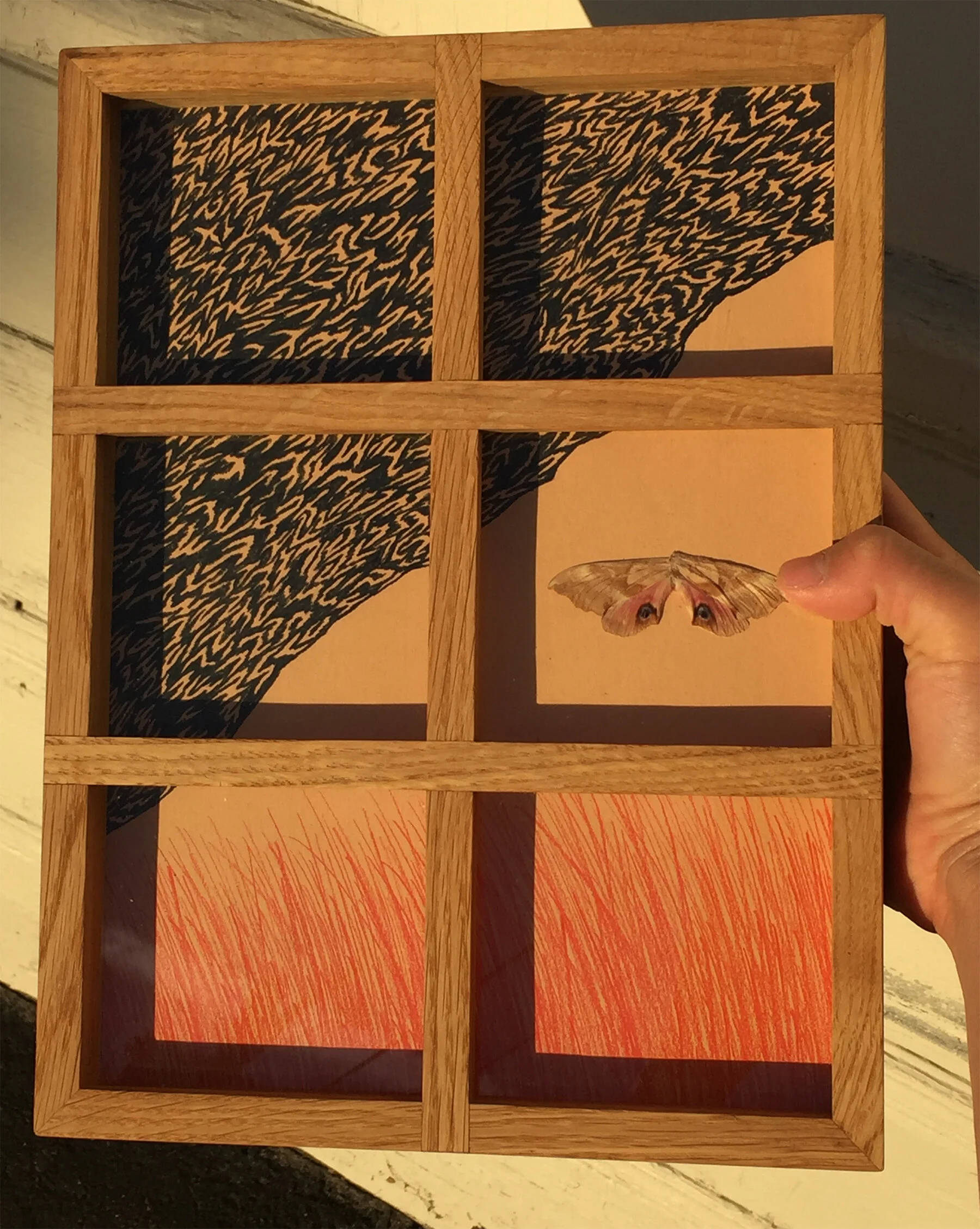 Moth window.jpg