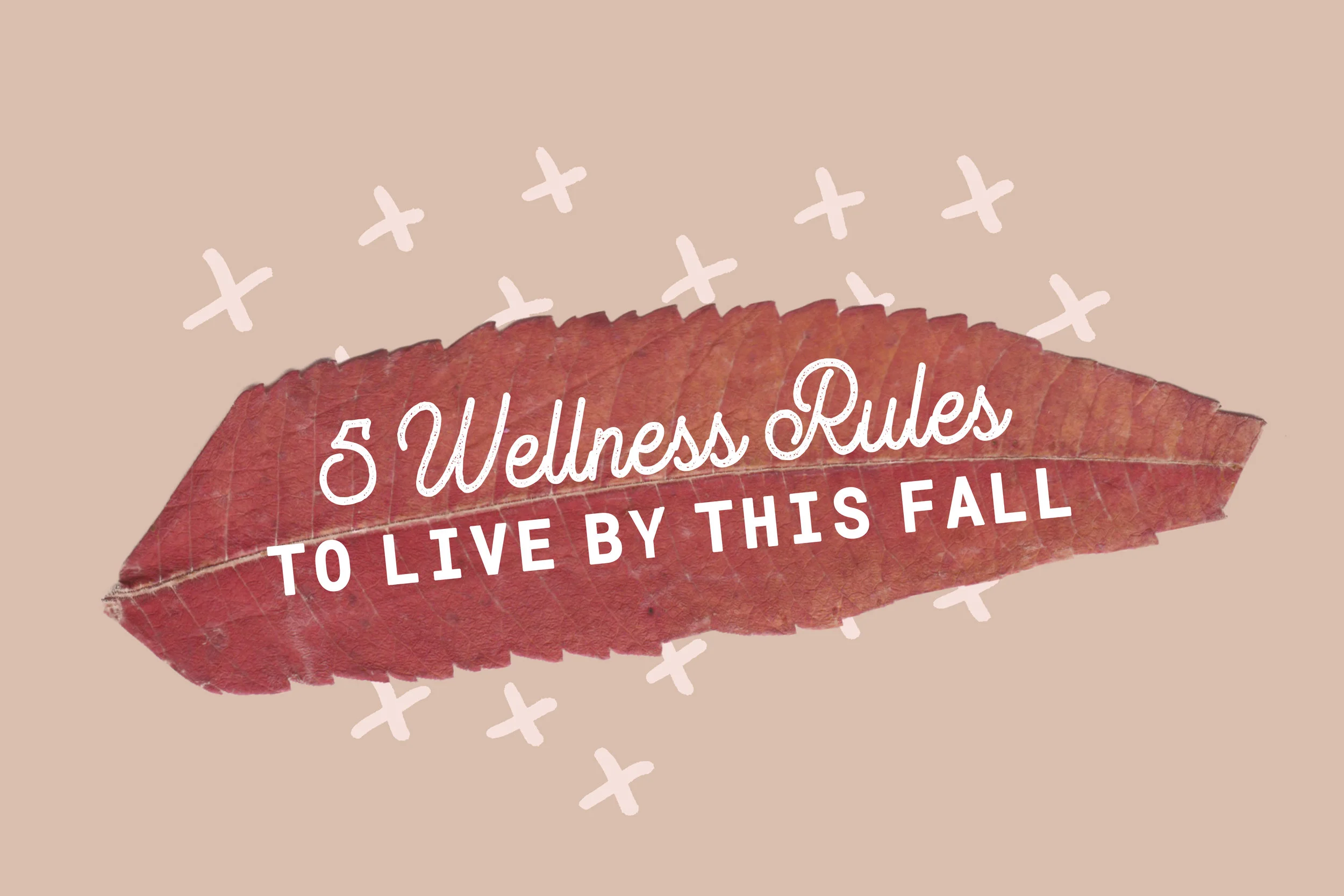5 Wellness Rules to Live by This Fall