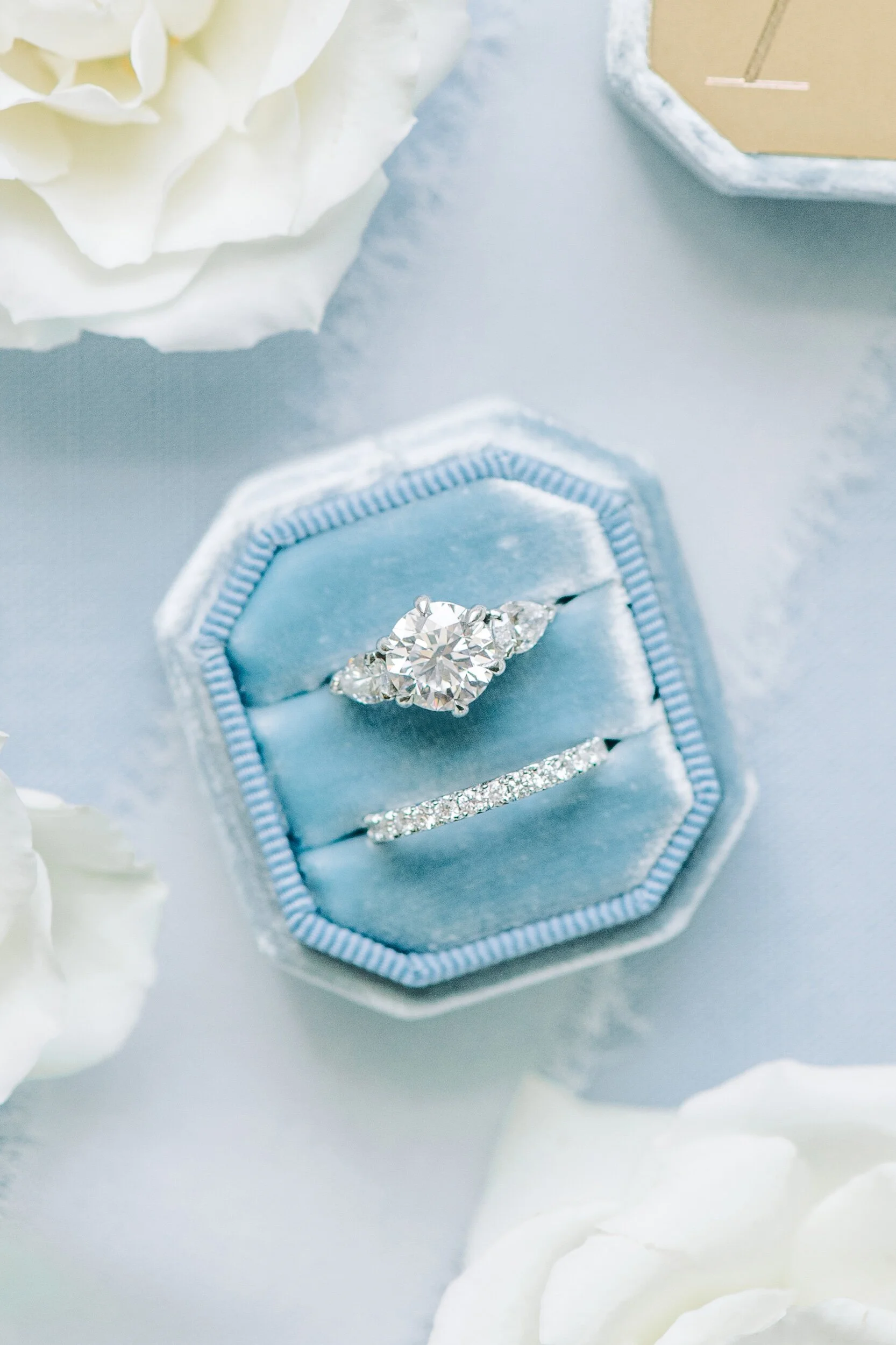 7C1316A1-DA40-4107-A6B4-371BDF371611