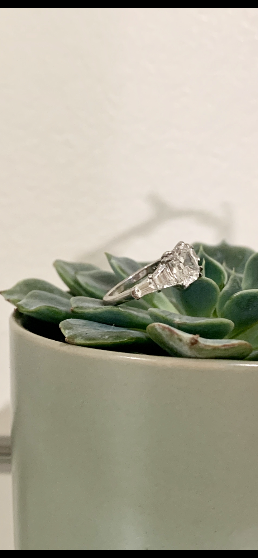 05E5B195-33C9-43D3-AC0F-D3F8F9468CC2