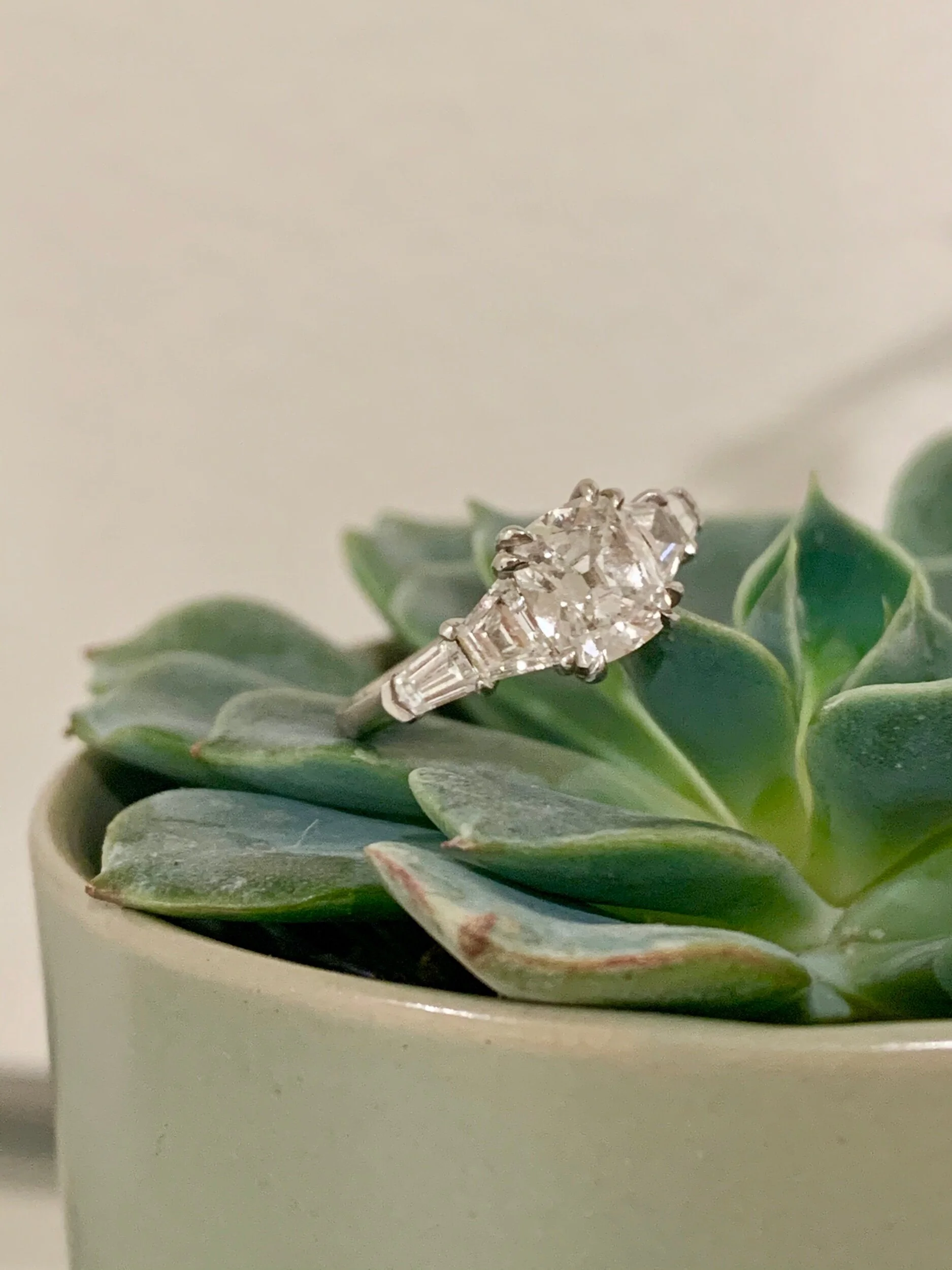 AB27D344-3FE1-496A-9AB9-B01CD81D094B