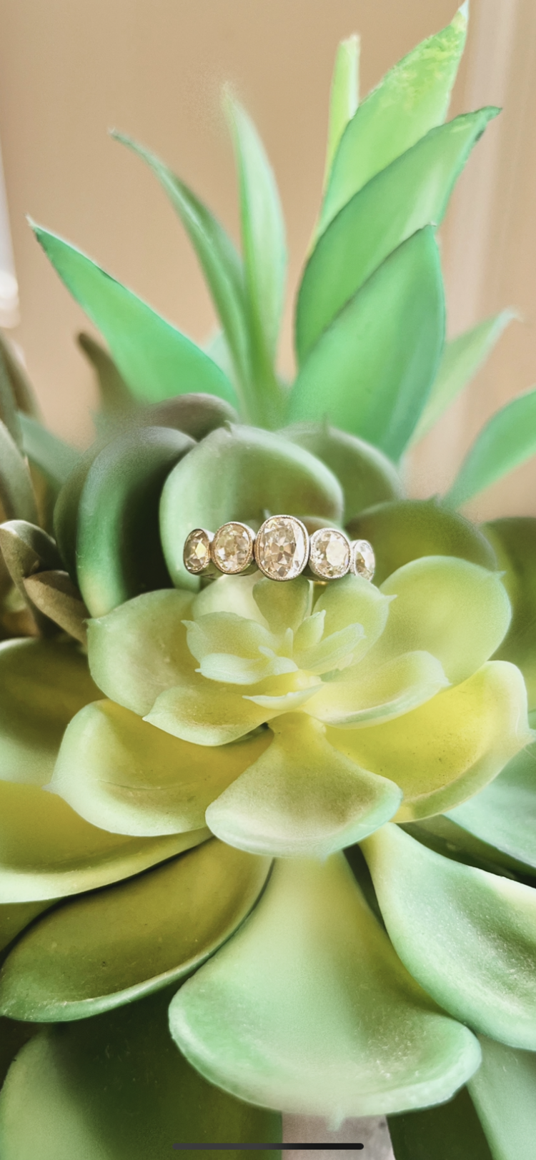 02018598-3EE9-4FD0-9AB0-028F2BE7F2A4