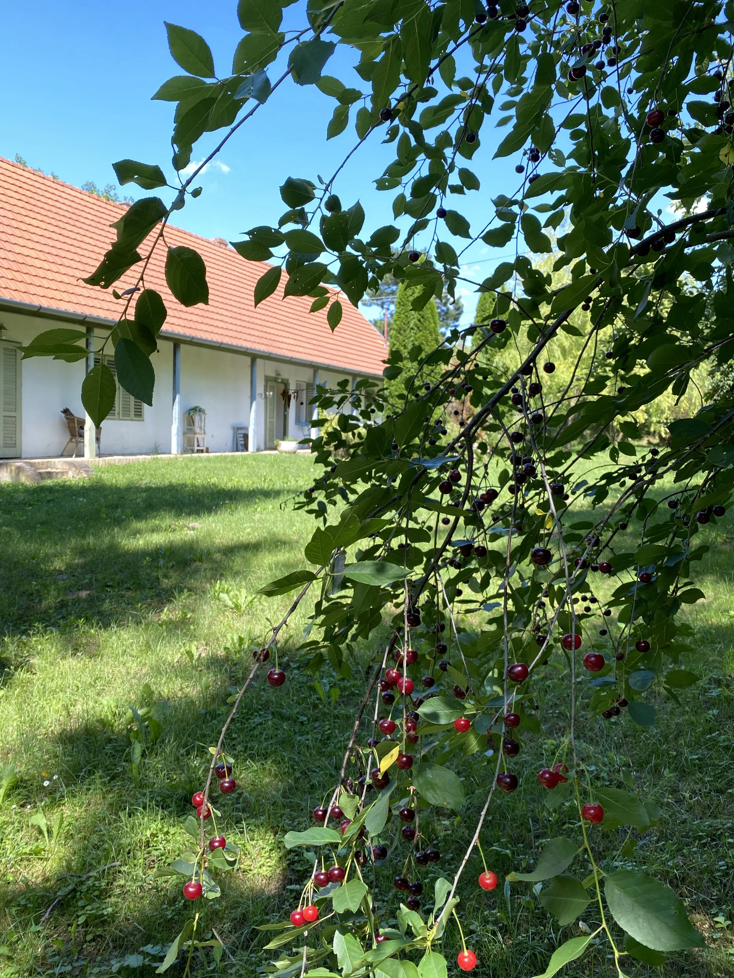 outside4.jpg