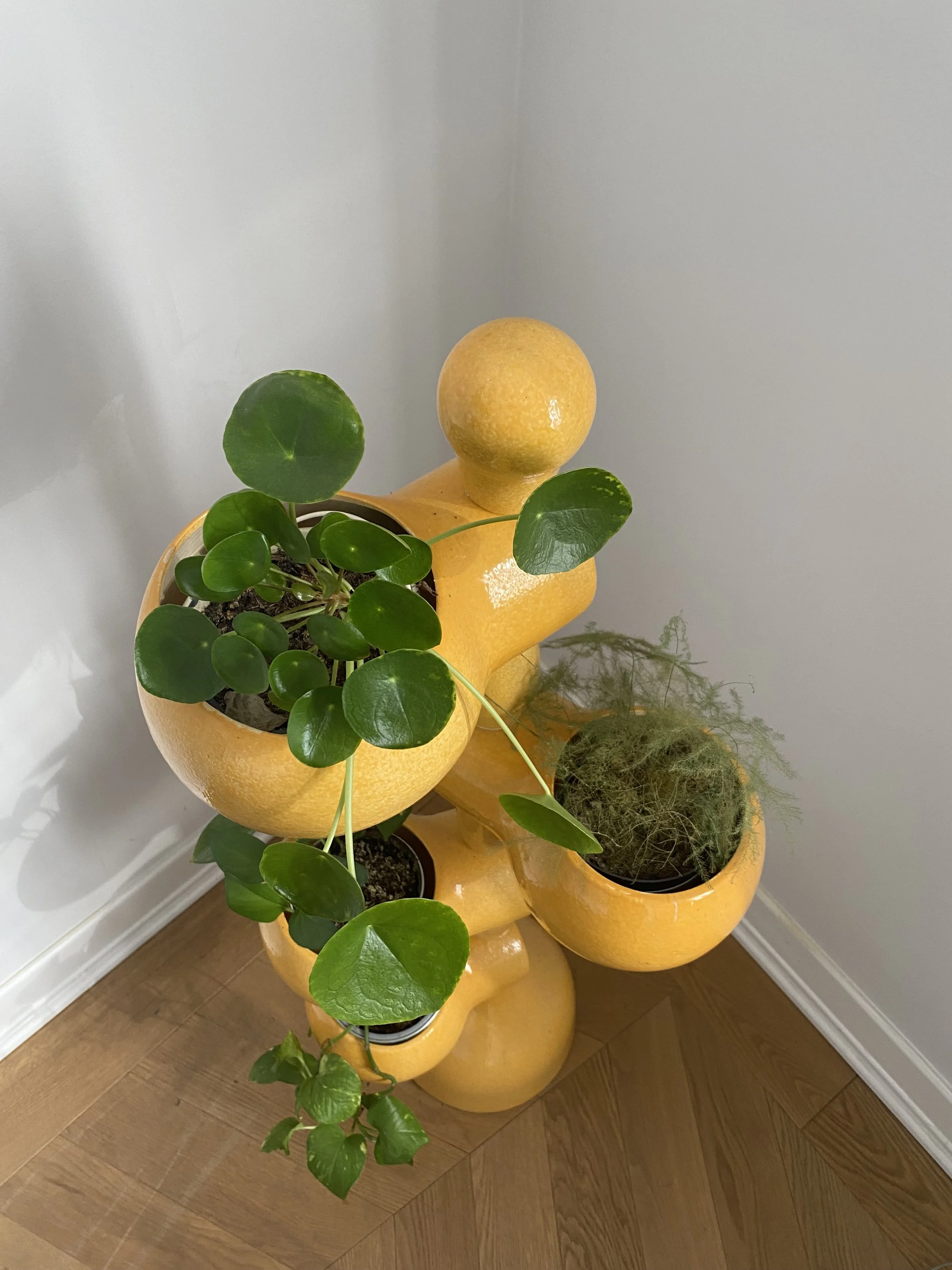 Lambrocz Mónika kerámia virágcserép