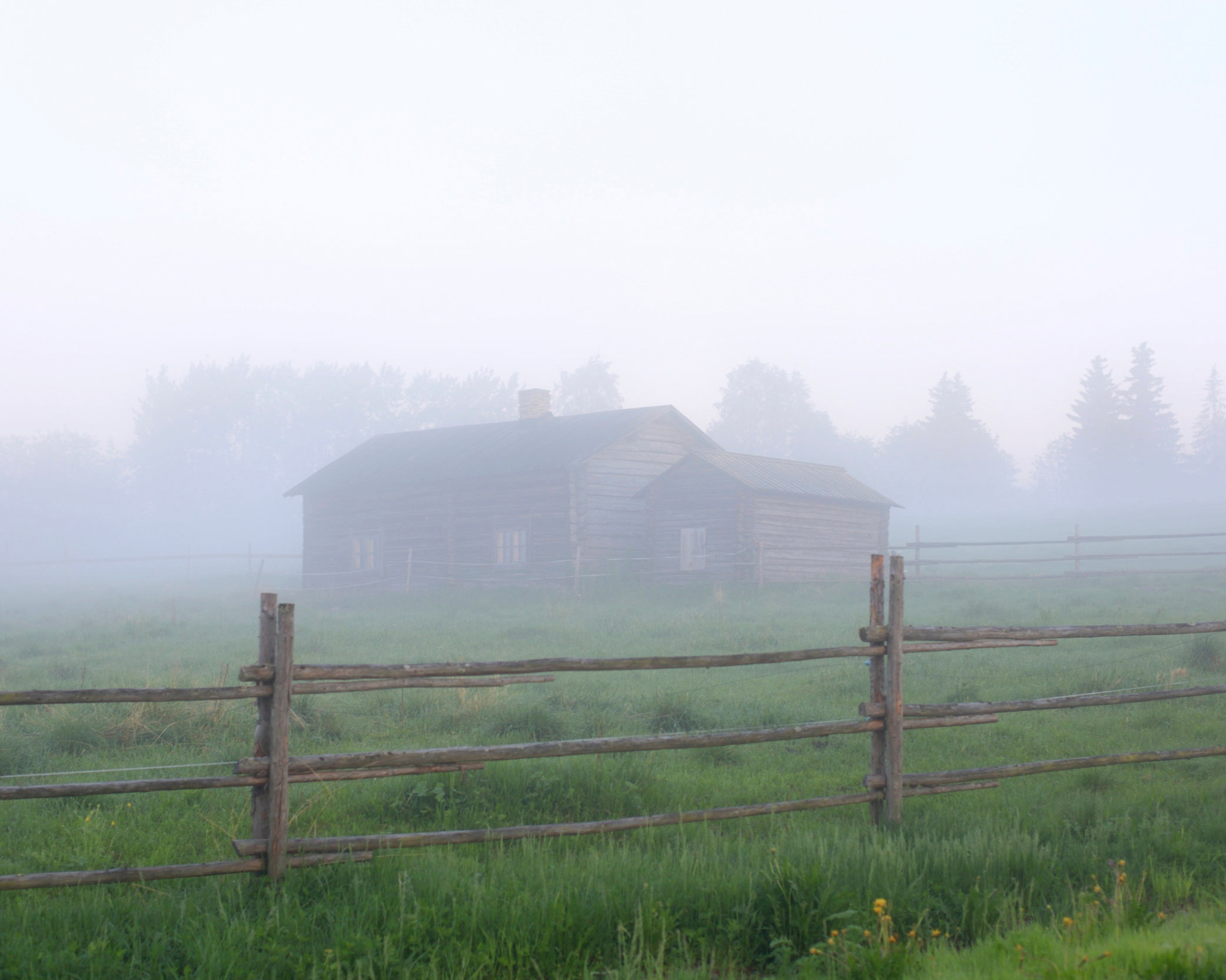 landscape1.jpg