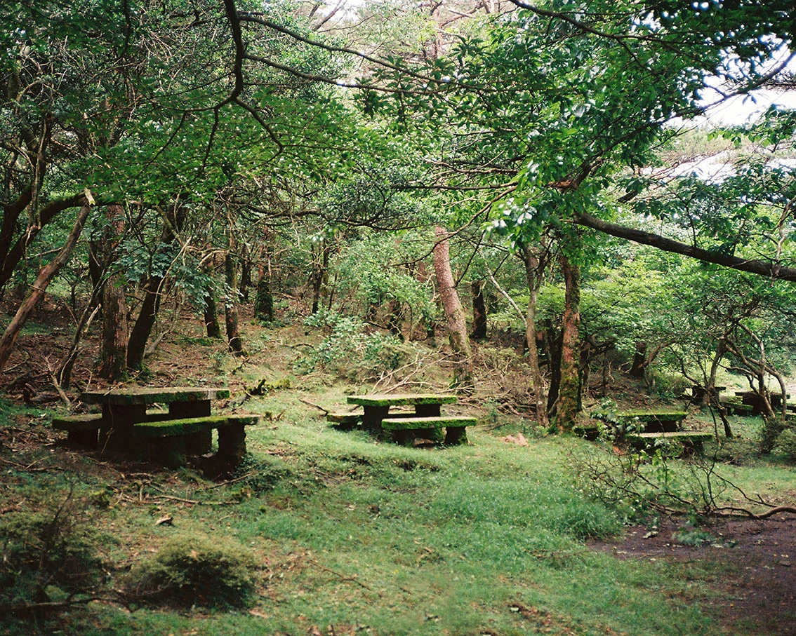 Alys_Thomas_Japan_02.jpg