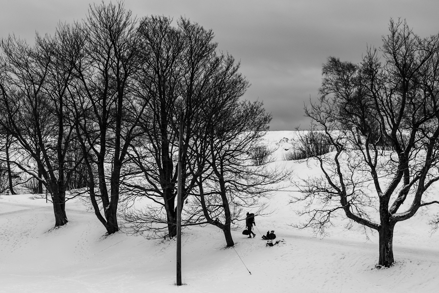 A man walking with his children, who are sitting on sledge.