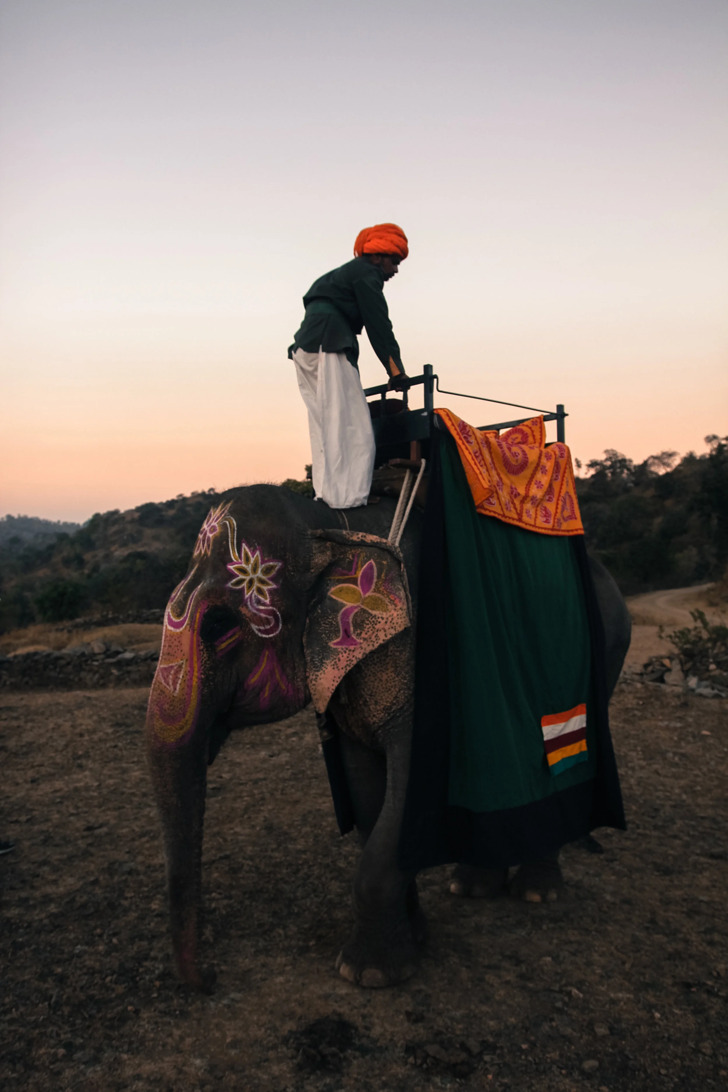 India 2 (1 of 1).jpg