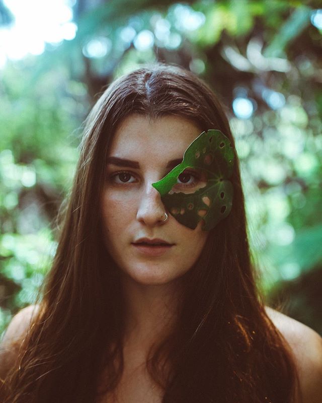 🌿🌿🌿🌿