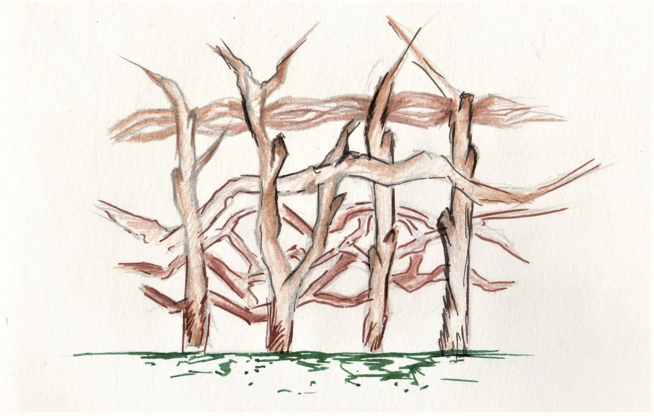 Atelier Bivouac Flyer.jpg