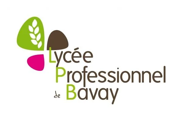 lycee_pro_bavay.jpg