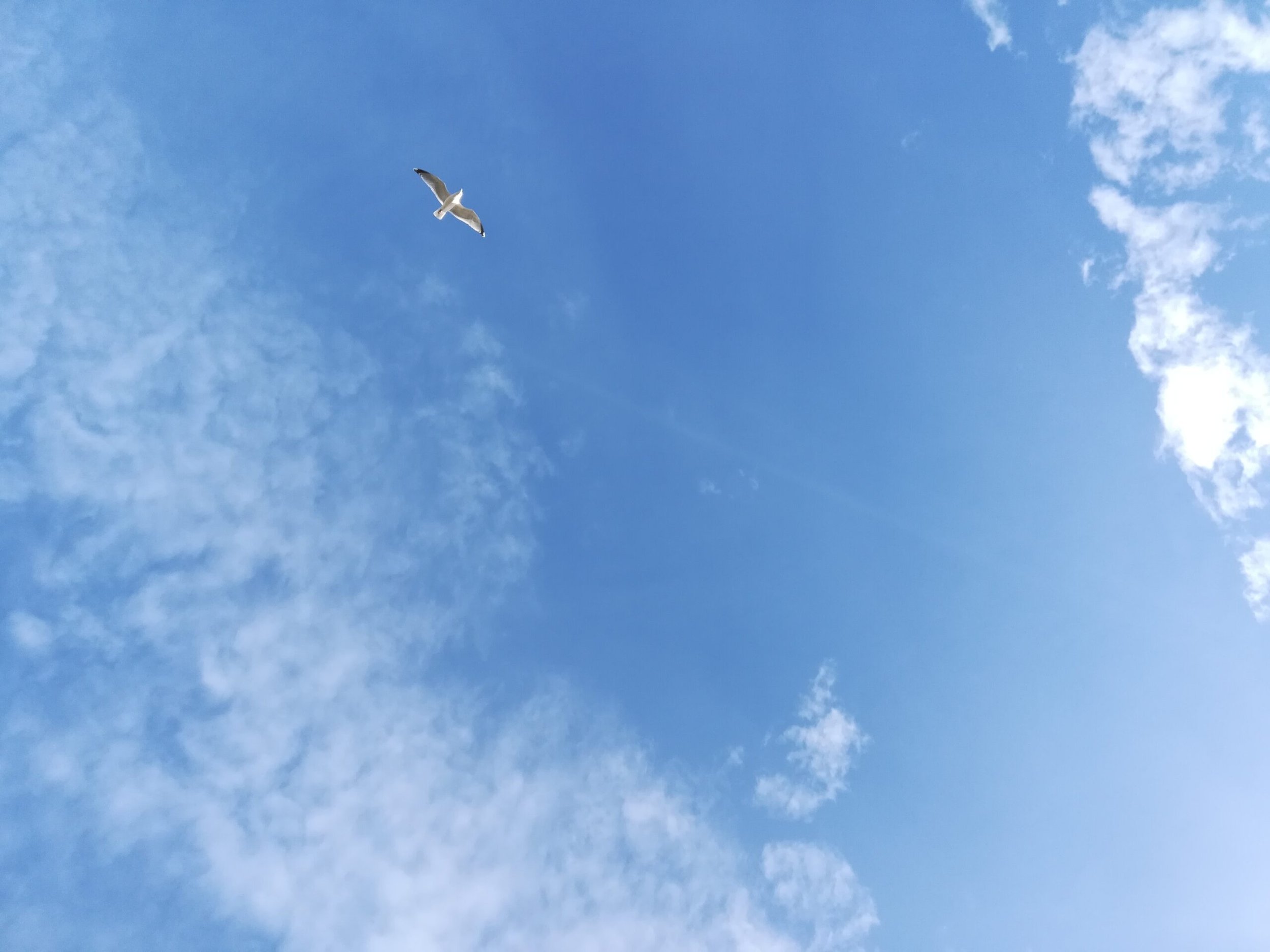 Au nom du ciel yuval.jpeg