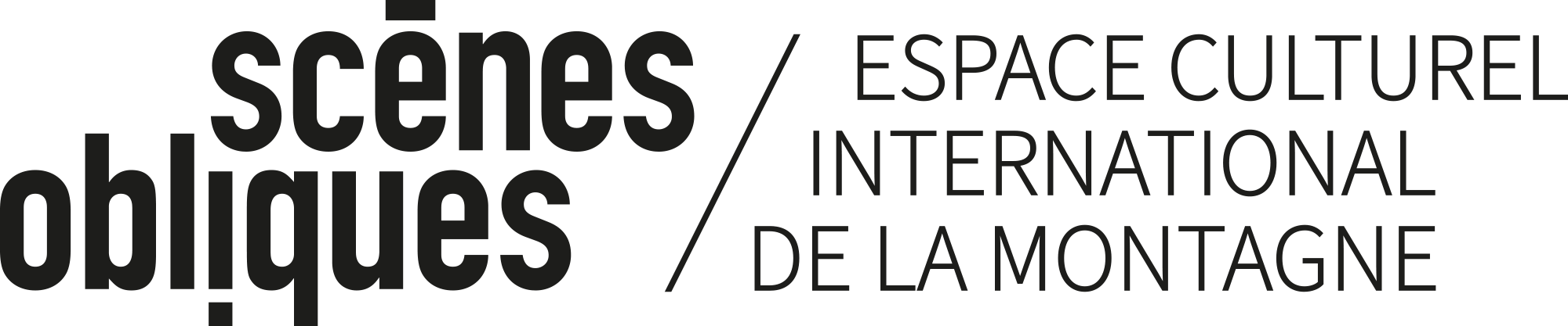 SCÈNES OBLIQUES_ECIM_noir.png