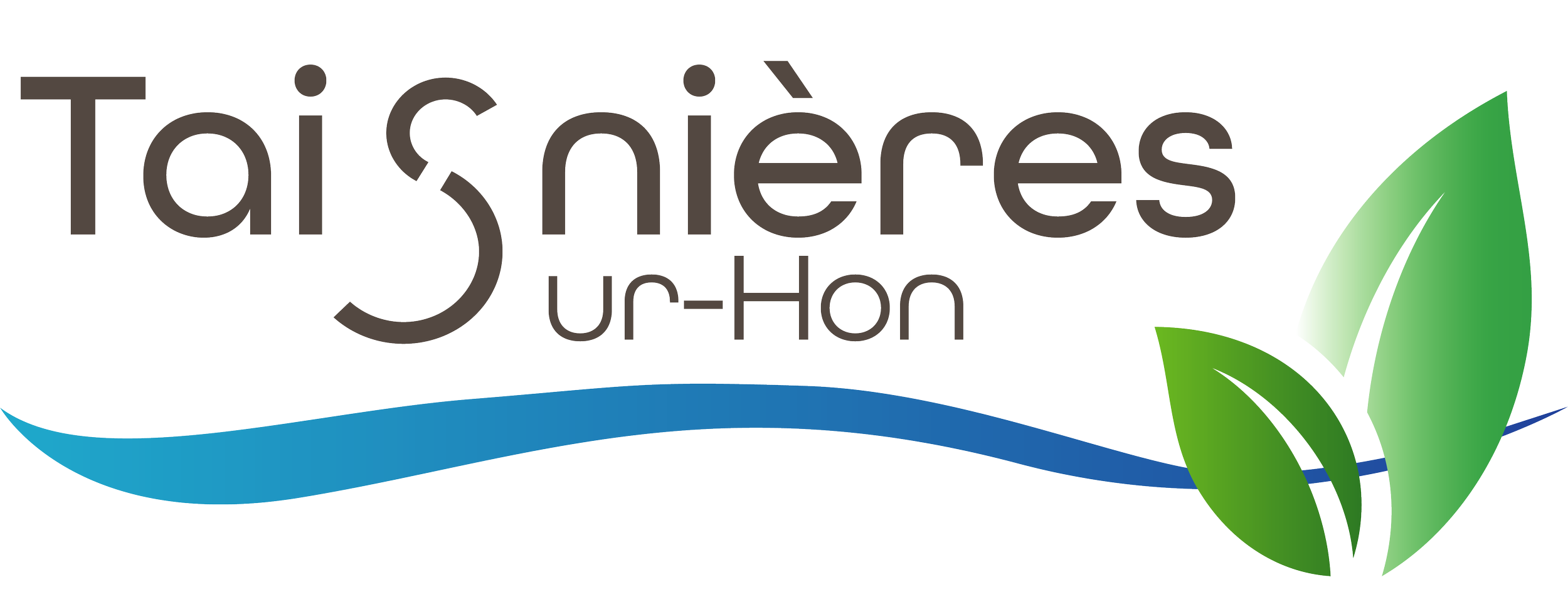 TAISNIIERES SUR HON .png