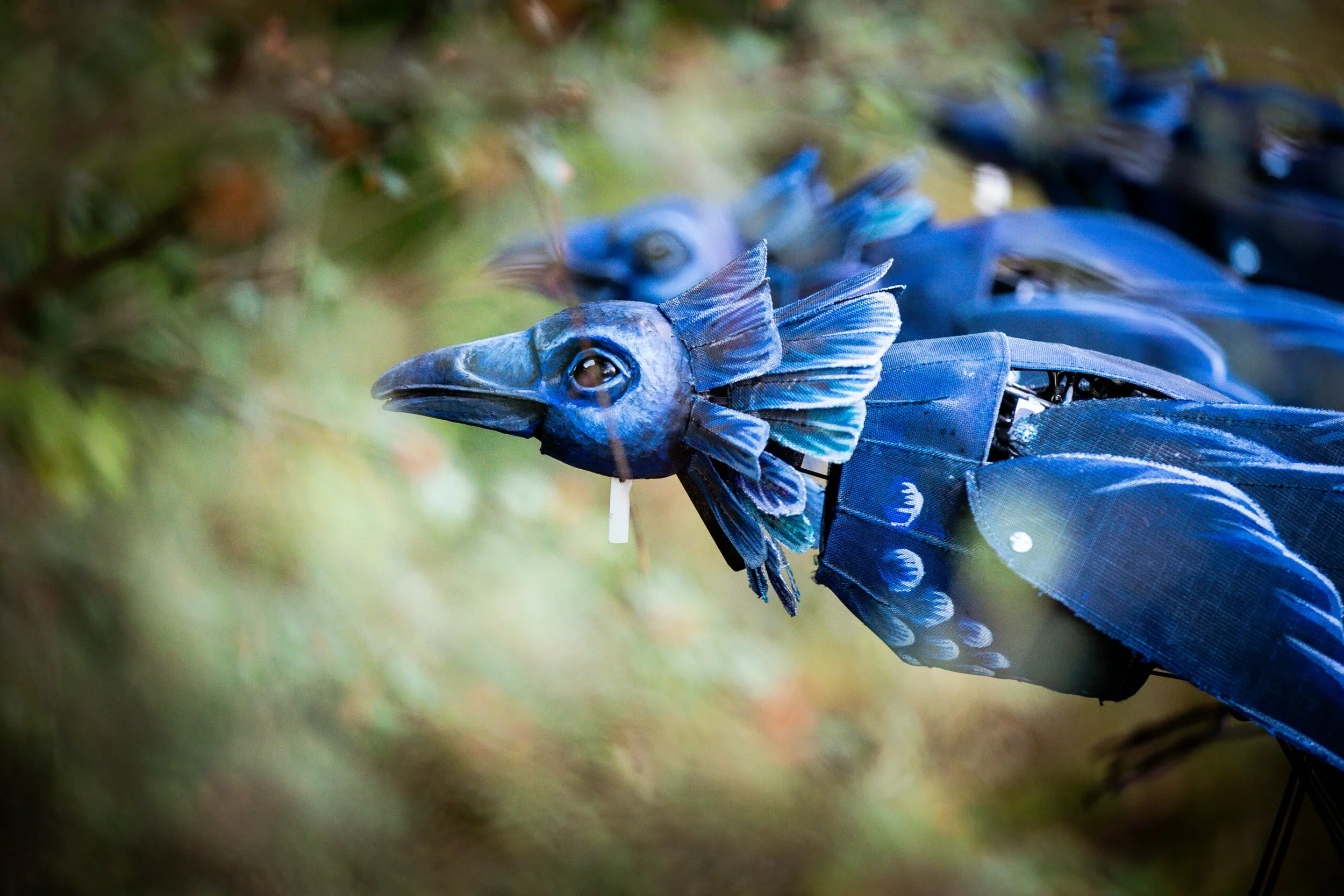HD-Wouazo-03-©Kalimba-scaled.webp