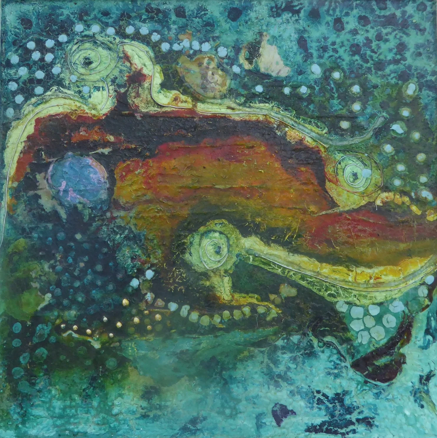 ROCK POOL WITH RED ALGAE