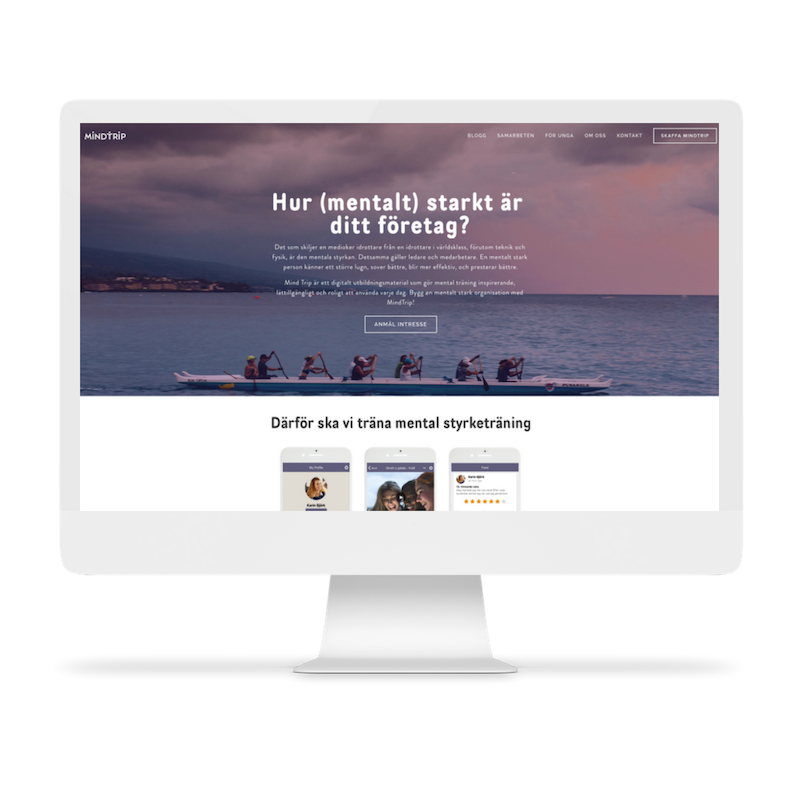 Portfolio mockups.png