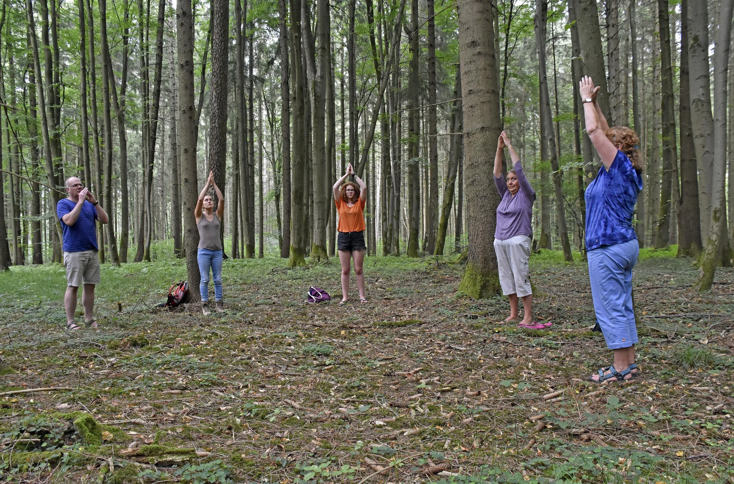 Der Wald ist der natürliche Lebensraum des Menschen. Schon allein deshalb, findet nicht nur Angela Weinfurtner, sollte man sich hier öfter aufhalten. Laut Gesetz darf sogar jeder zur Erholung in den Wald gehen, auch wenn „Privat“ am Weg steht (solange der Wald nicht eingezäunt ist und wir nichts verändern).