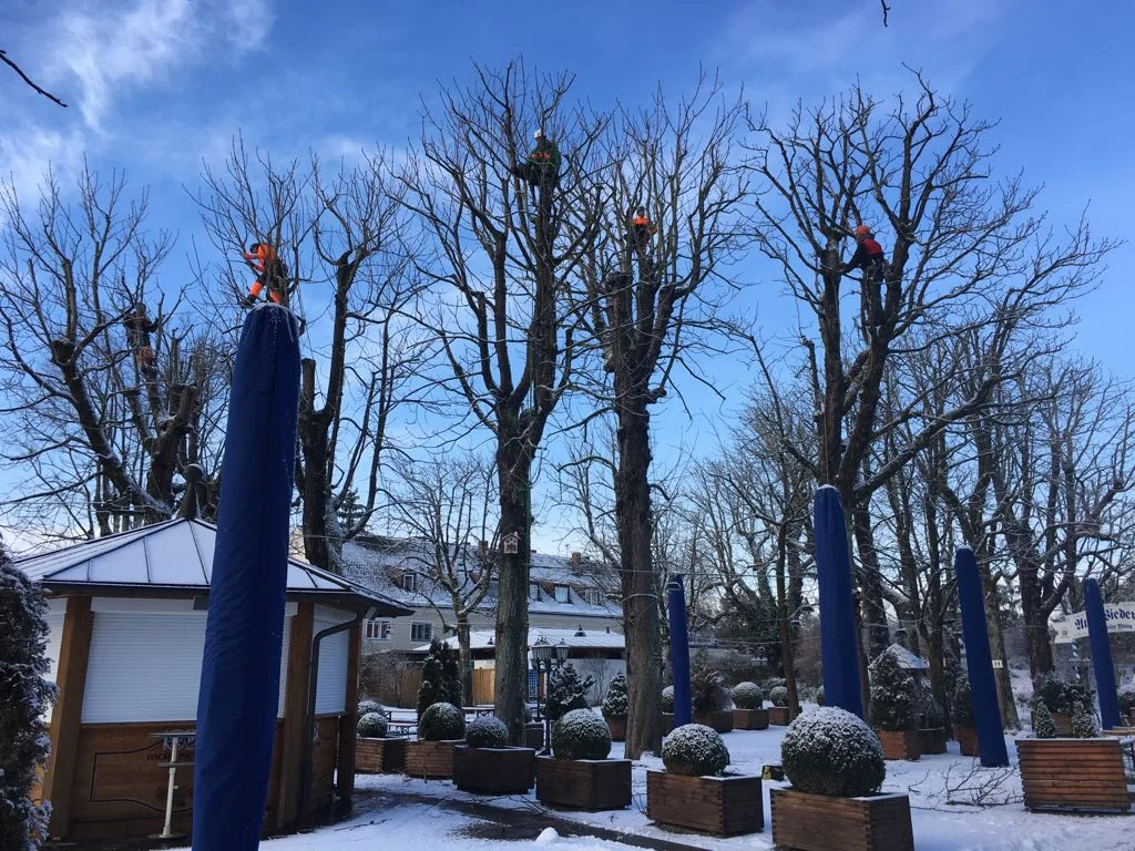 Pflege und Schutz der Natur