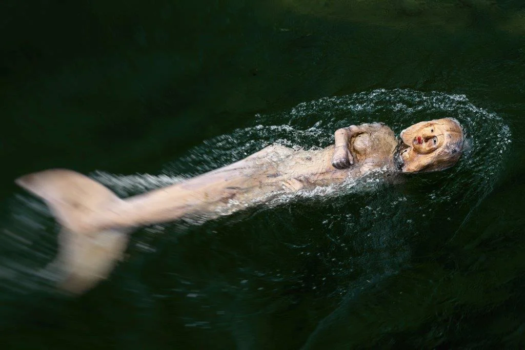 Seit Juli schwimmt die schnell zur Attraktion avancierte Ampernixe unterhalb des Wehres im Wasser - festgezurrt an einem 80 Kilogramm schweren Anker. Nur einmal entfloh sie: Das Stahlseil erlitt wegen des Hin- und Hergewackeles einen Ermüdungsbruch. Zum Glück wurde sie von Badenden stromabwärts eingefangen und an dicke Eisenketten gelegt.