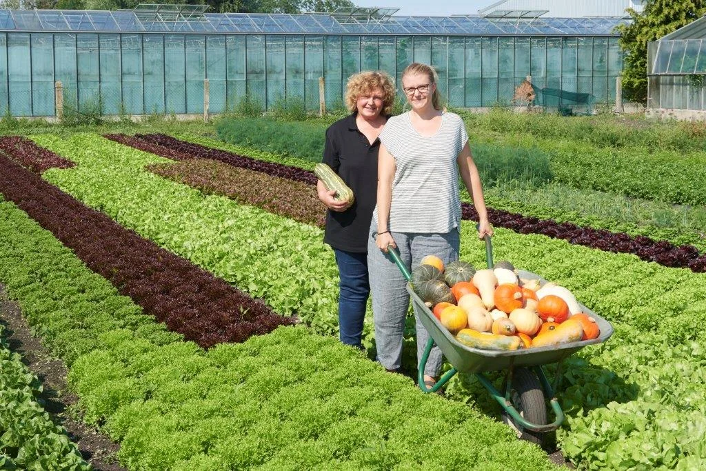 Frisch geerntet auf den Teller